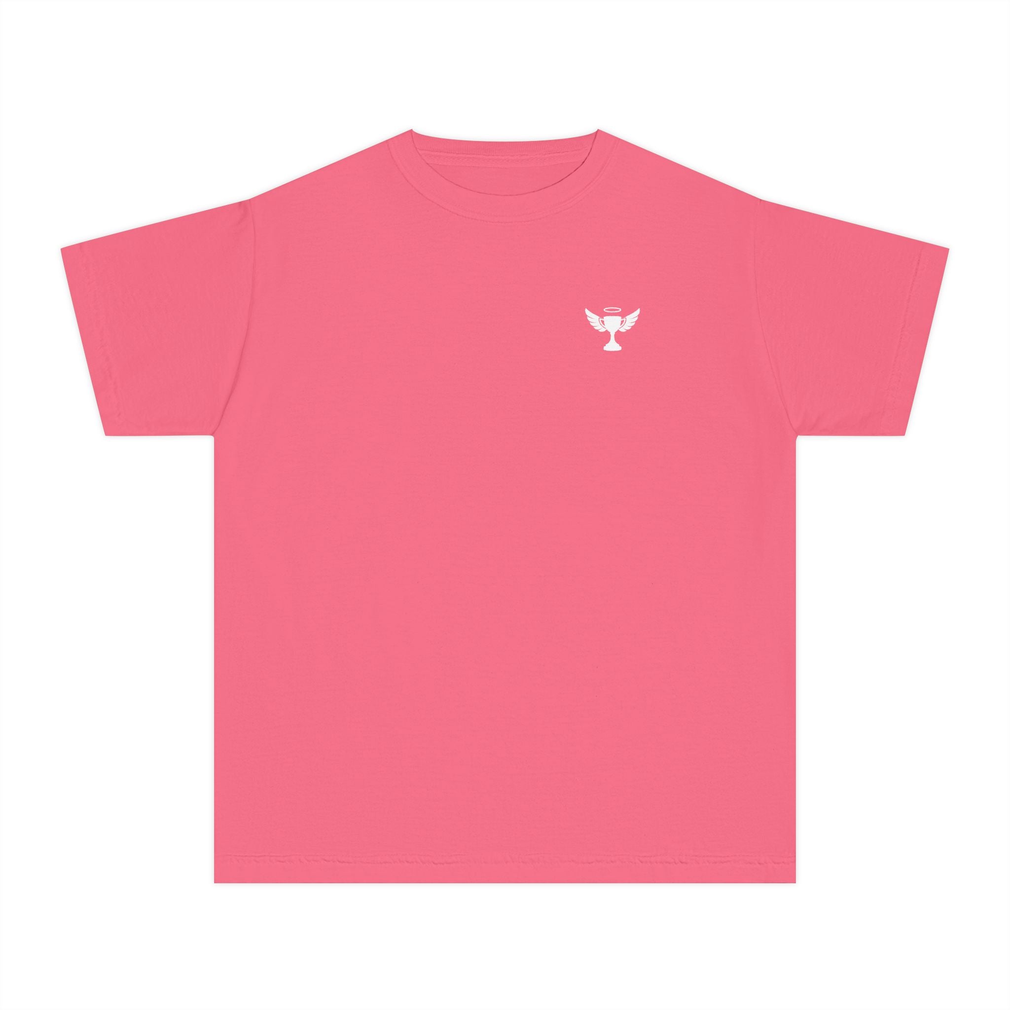 Proverbs 27:17 Youth Tee
