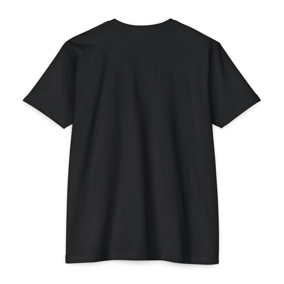 Copy of Cheer Papa T-Shirt — Personalized Back Name & Number