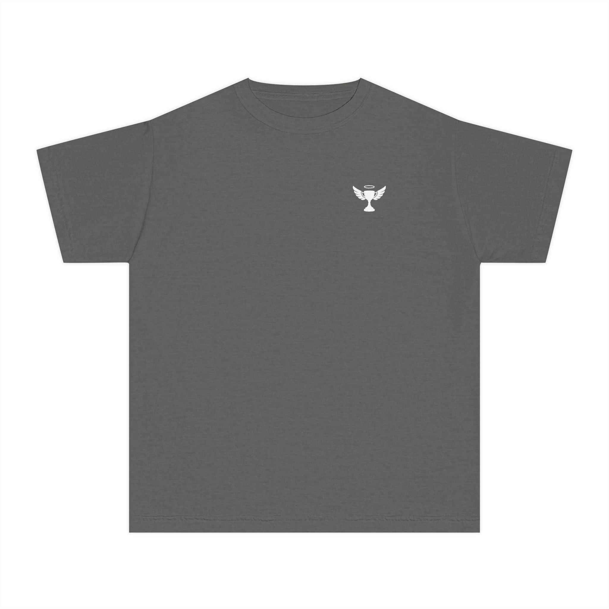 Proverbs 27:17 Youth Tee